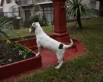 Slika 3