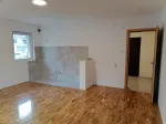 Slika 1