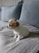 Slika 2