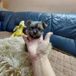 Slika 2