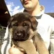 Slika 2