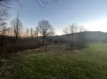 Slika 1
