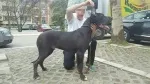 Slika 2
