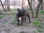 Slika 4