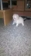 Slika 2