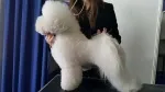 Slika 3