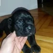 Slika 3