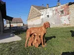 Slika 3