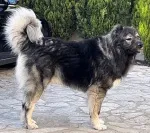 Slika 1