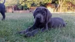 Slika 3
