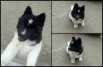 Slika 2