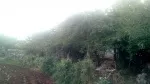 Slika 5