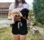Slika 6