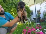 Slika 4