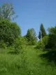 Slika 5