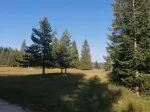 Slika 1