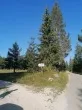 Slika 5