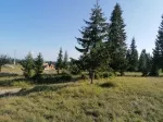 Slika 6