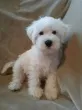 Slika 5
