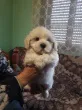 Slika 2