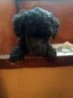 Slika 1