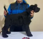 Slika 3