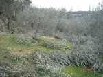 Slika 3