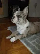 Slika 2