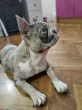 Slika 3