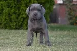 Slika 3