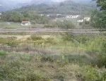Slika 1