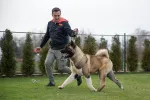 Slika 1