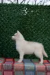 Slika 3