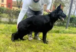 Slika 3