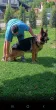 Slika 4