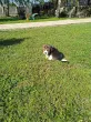 Slika 1