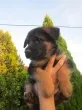 Slika 3