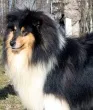 Slika 2