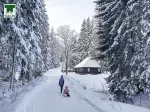 Slika 1