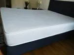 Slika 1