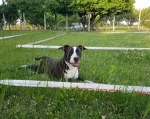 Slika 3