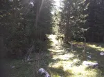 Slika 4