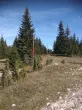 Slika 5
