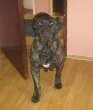 Slika 2