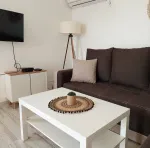 Slika 1