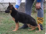 Slika 3