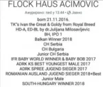 Slika 4