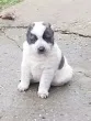 Slika 3