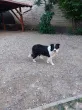 Slika 5