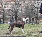 Slika 3